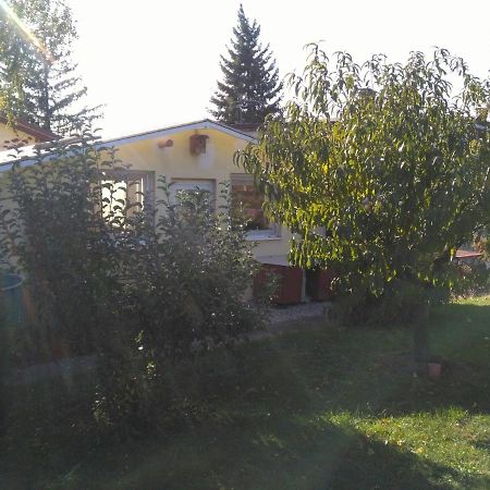 Greenhouse Just 15 Min From The Old Town Братислава Екстериор снимка